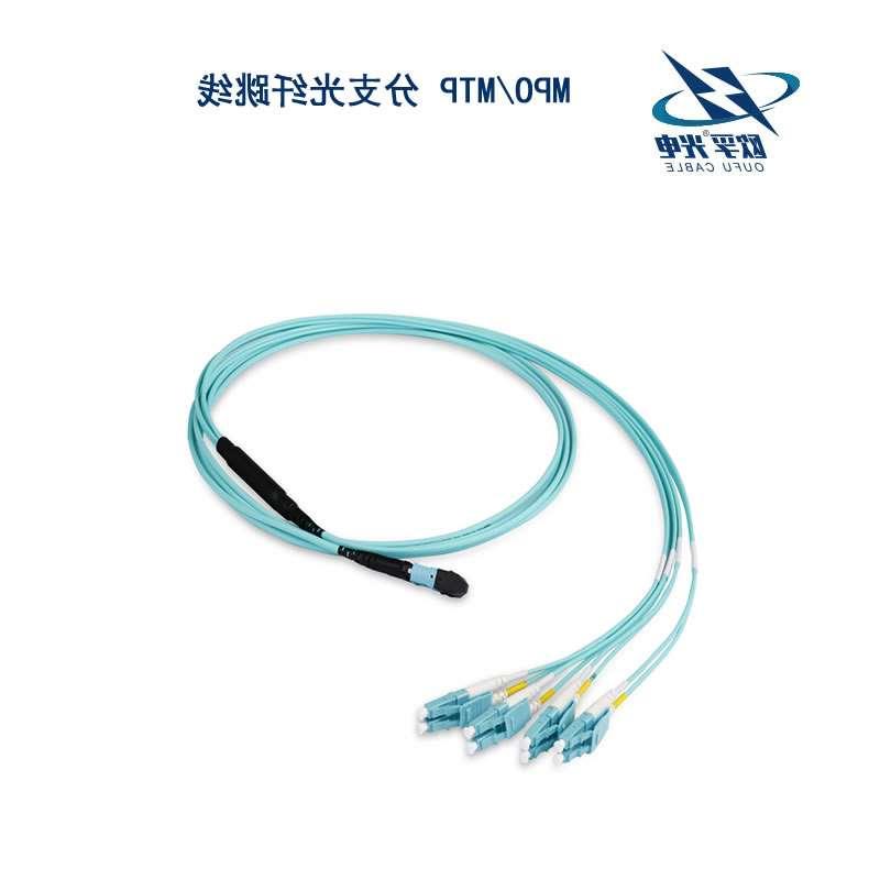 阳江市MPO/MTP 分支光纤跳线