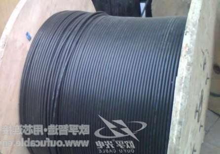 台南市12芯GYXTW中心束管式光缆制作 欧孚GYXTW光缆特点